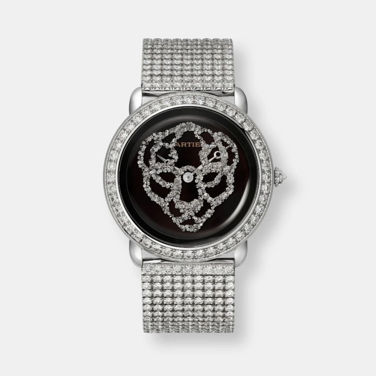 Montre révélation d'une panthère