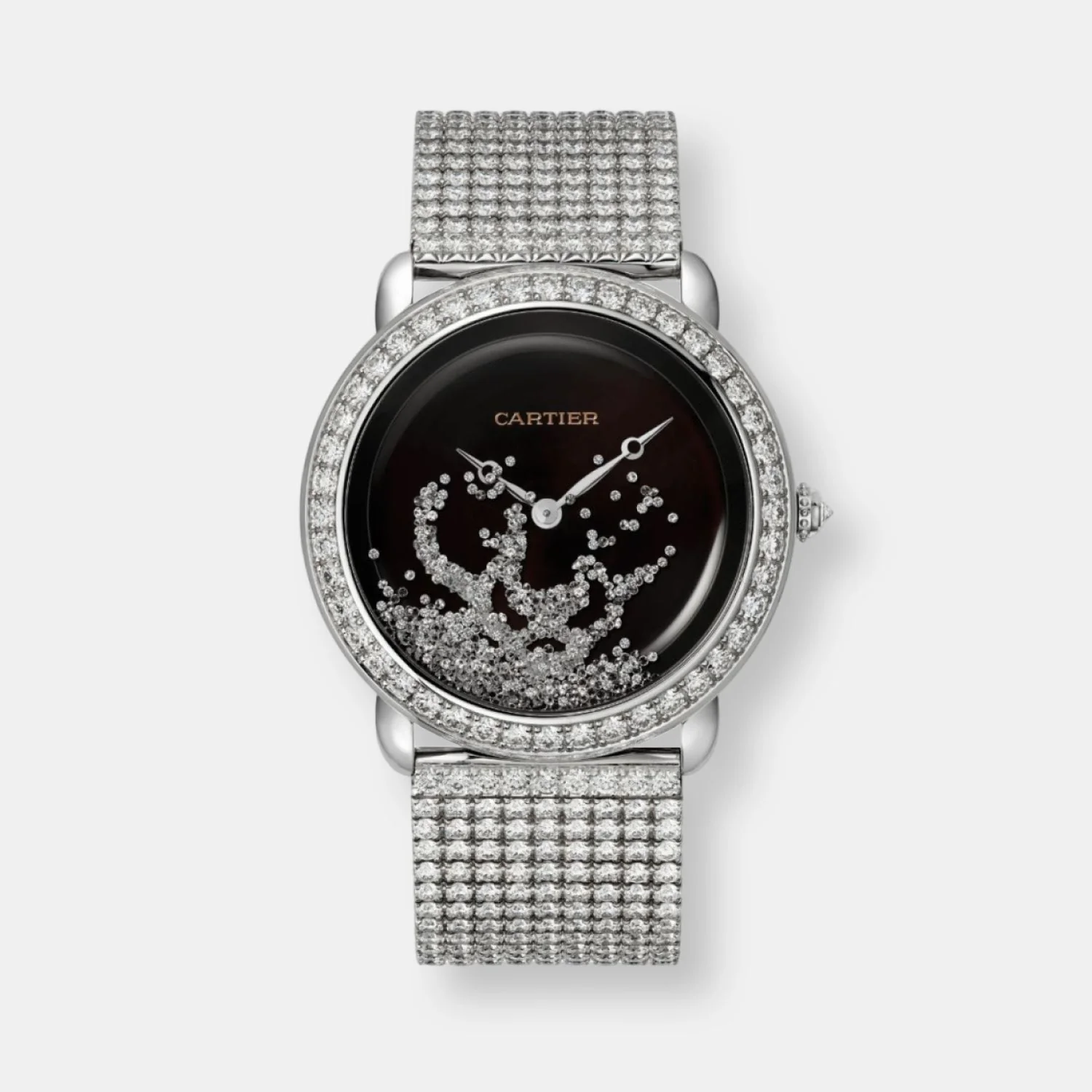 Montre révélation d'une panthère - Image 2