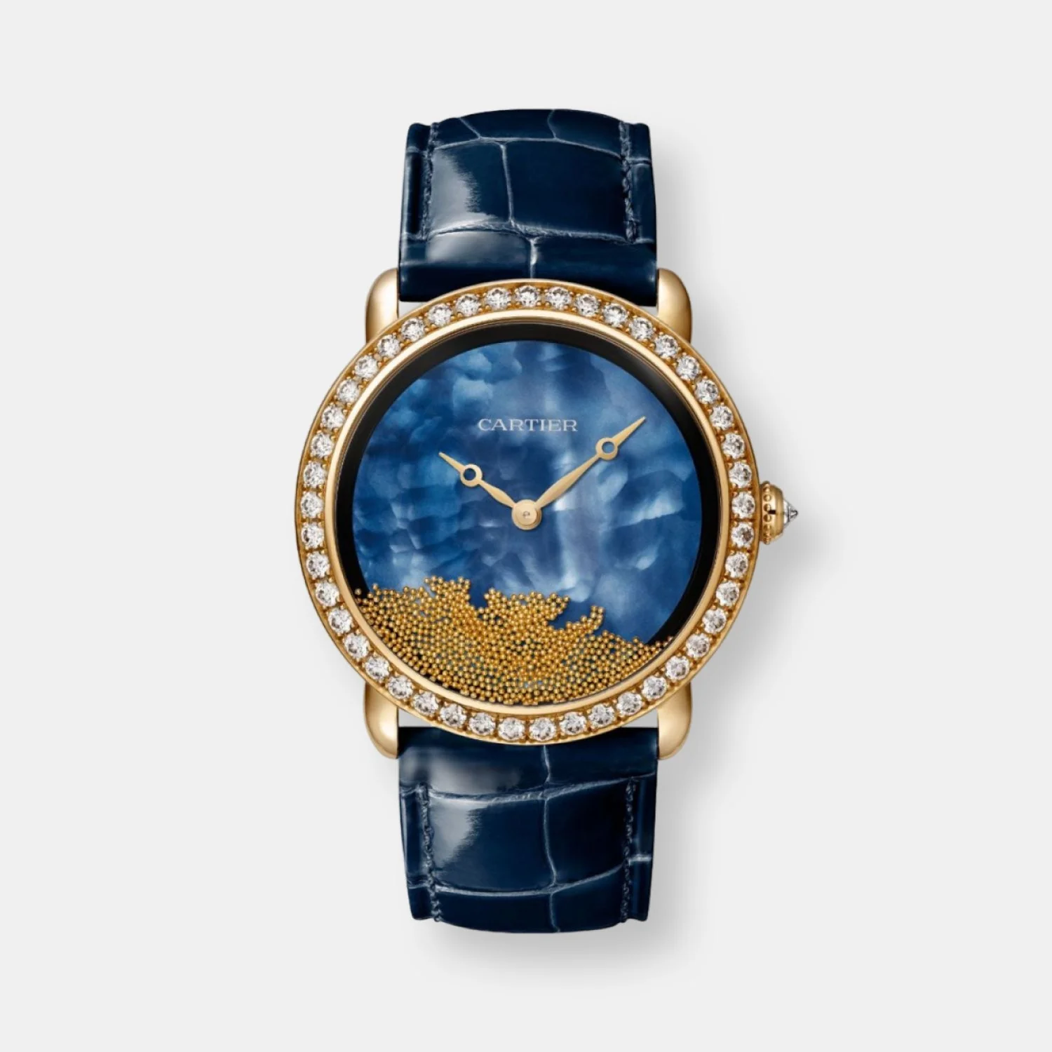 Montre révélation d'une panthère - Image 3