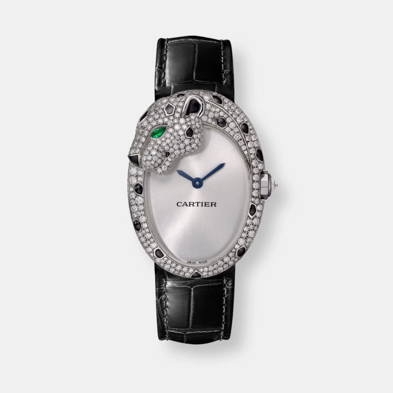 Montre panthère lovée