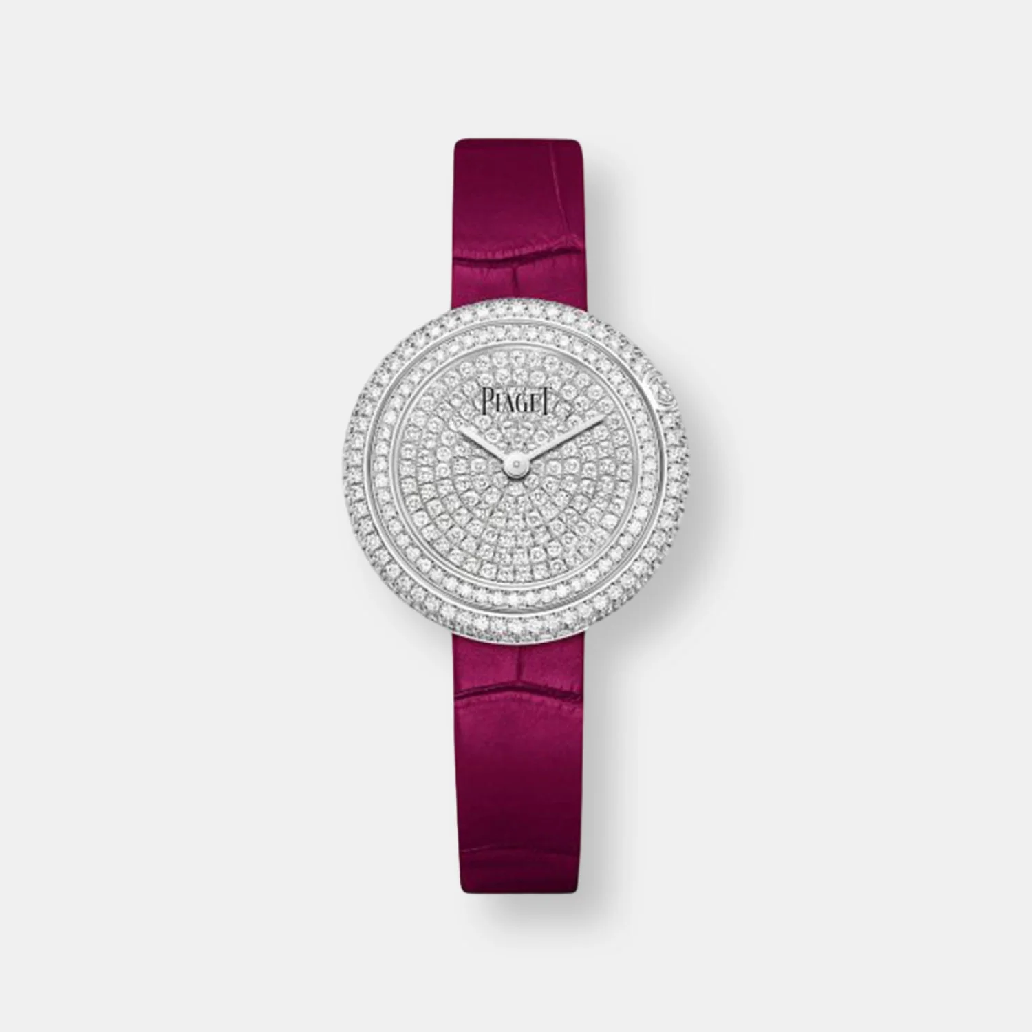 Montre possession