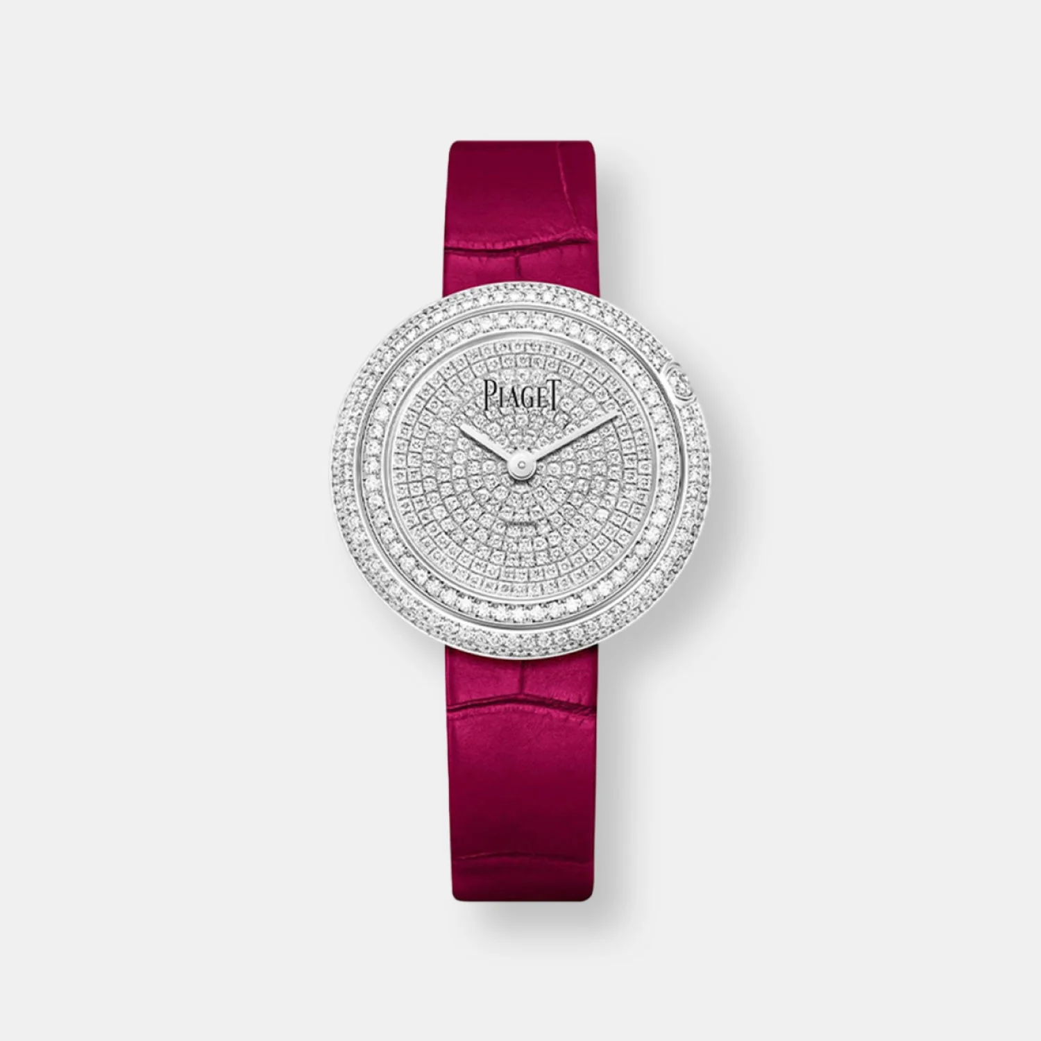 Montre possession