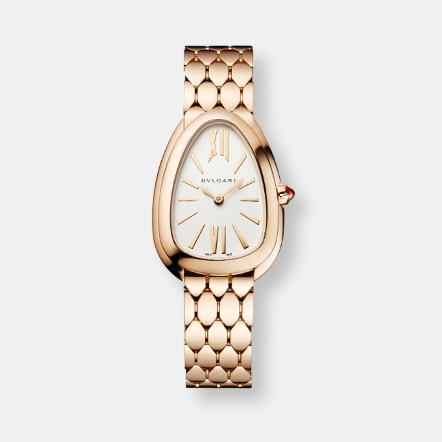 Montre serpenti seduttori