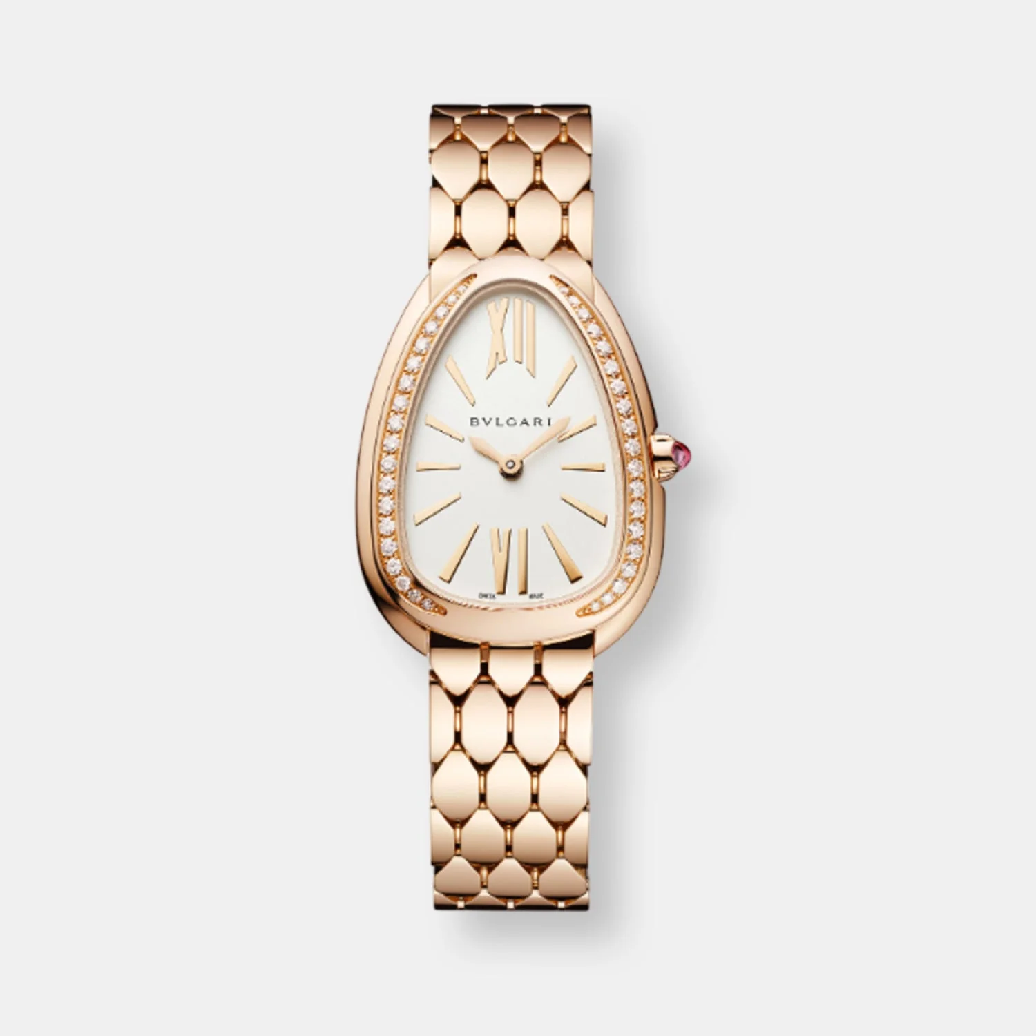 Montre serpenti seduttori