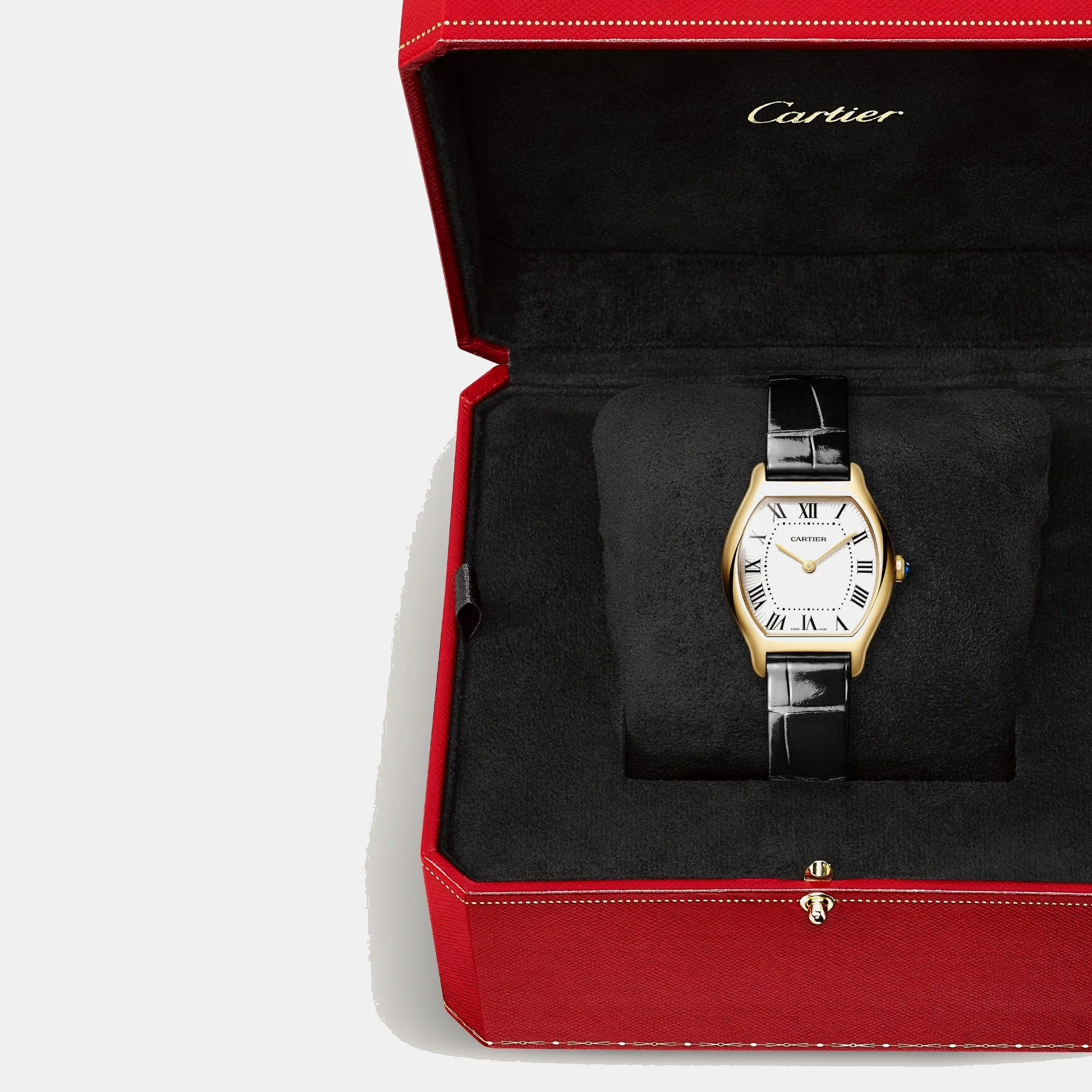 Montre tortue - Image 5