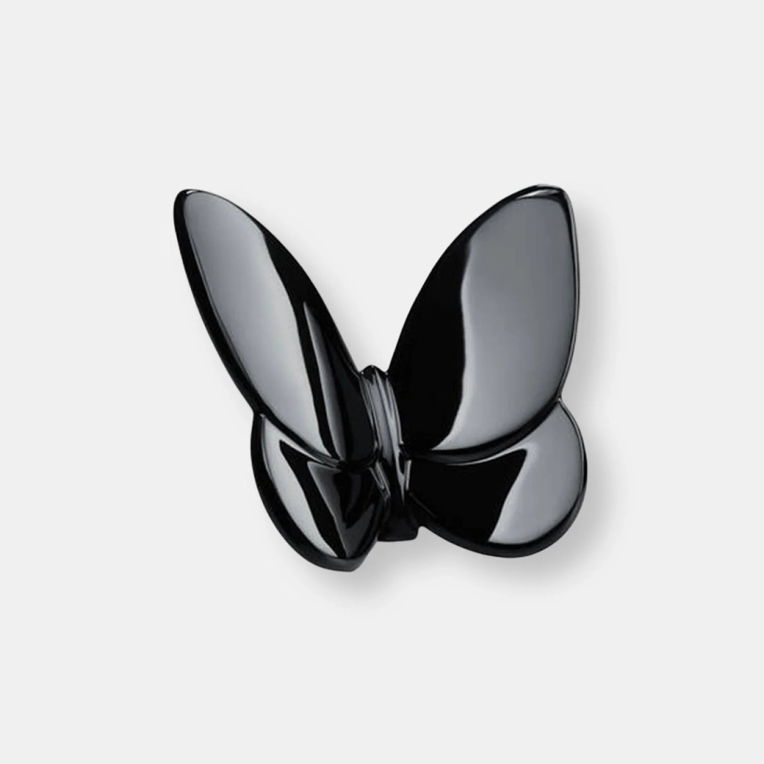 Papillon porte-bonheur